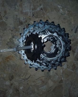 Cassetta Campagnolo 10v 11-25