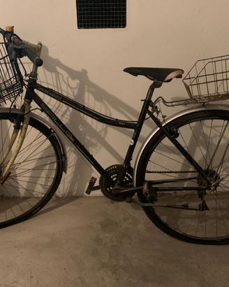 bicicletta