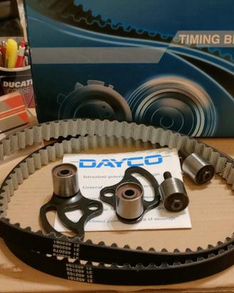 Kit Distribuzione Ducati 900 Cinghia e Cuscinetti