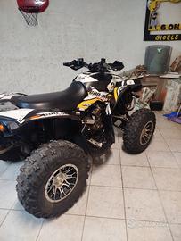 quad can am Renegade 800