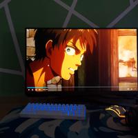Monitor