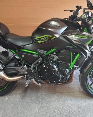 Z650 2023
