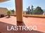 Immagine 20