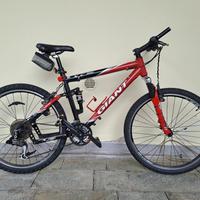 Mountain bike Giant biamortizzata 