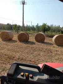 Paglia di grano e triticale