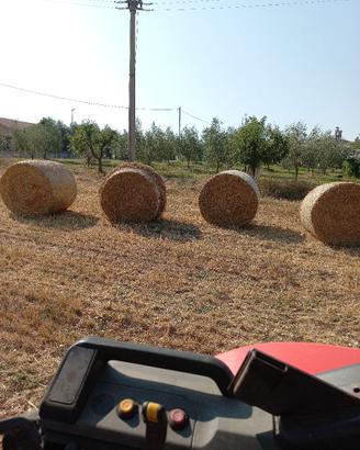Paglia di grano e triticale