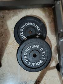 dischi in ghisa 30 kg