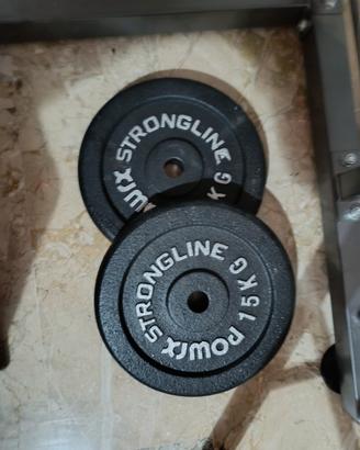 dischi in ghisa 30 kg