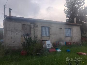 Terreno con casa alberato