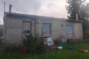Terreno con casa alberato