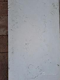 marmo biancone 55x30x1.8 cm