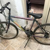 Bici mountain bike