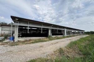 Immobile in asta di 7608 m² con 5 locali e box aut