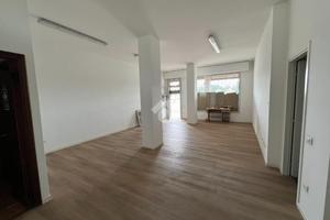 NEGOZIO A GALLIERA VENETA