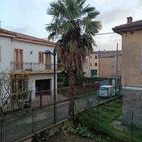 Palme 