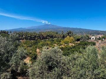 DUE Fabbricati e TERRENO EDIFICABILE con Pozzo