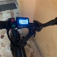 Bici elettrica fat bike 250w