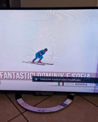 TV Sony  3D  KDL-46W905A 116,8 cm