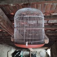 Gabbia per uccelli