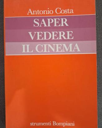 Saper vedere il cinema
