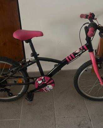 Bicicletta