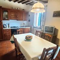Appartamento castel del piano GR