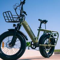 FOCARINI CARGO E-BIKE