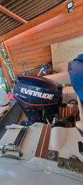 Motore Evinrude etec 40/60