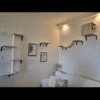 Parete da arrampicata per gatti