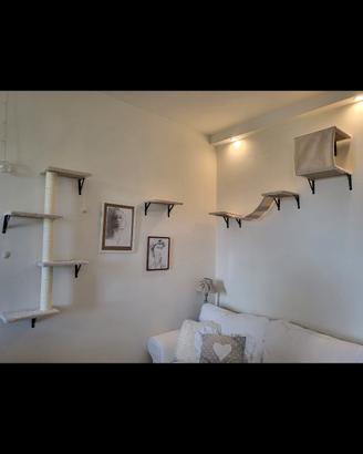 Parete da arrampicata per gatti