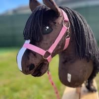 Hobby horse con accessori