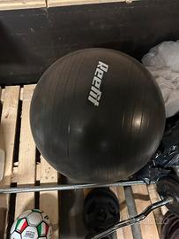 Fitball Reefit