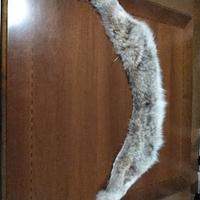 collo in pelliccia di Volpe 