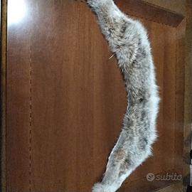 collo in pelliccia di Volpe 