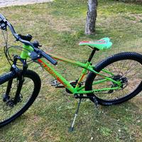 Bicicletta MTB