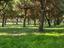 Immagine 11
