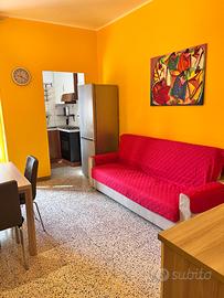 Bilocale arredato 55mq Parella via P.Cosaa