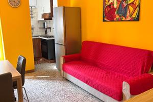 Bilocale arredato 55mq Parella via P.Cosaa