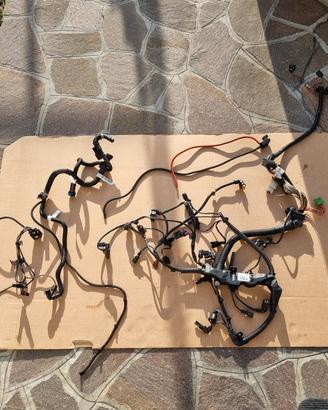 Cablaggio Completo Motore BMW N47D20C