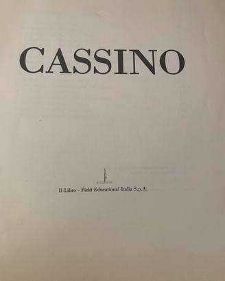 Battaglia di cassino