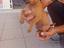 Immagine 2