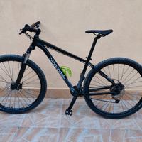 Bici mtb 29 Cannondale trail 7