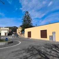 Locale commerciale con giardino