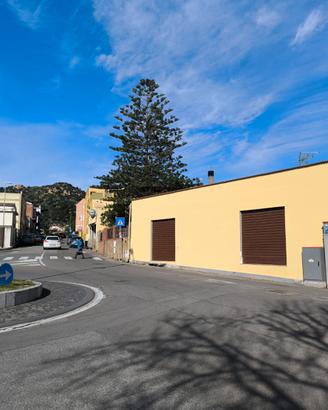 Locale commerciale con giardino