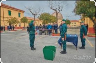 Marina Militare Comsubin Arditi Incursori Goi 