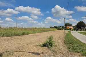 Terreno agricolo 2,23 ha Copparo Sabbioncello