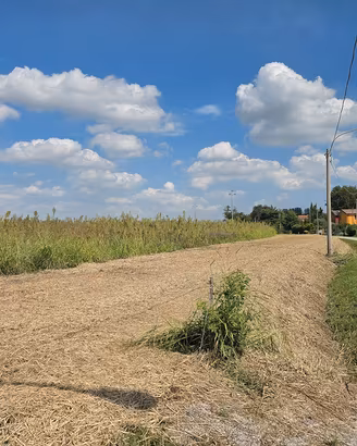 Terreno agricolo 2,23 ha Copparo Sabbioncello