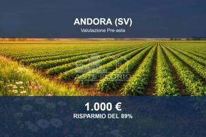 Immobile in asta di 3120 m² a Stellanello
