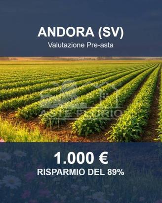Immobile in asta di 3120 m² a Stellanello