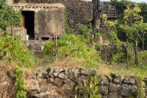 Terreno agricolo a Viagrande